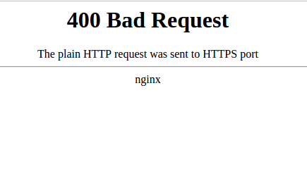 nginx-bad-request-error